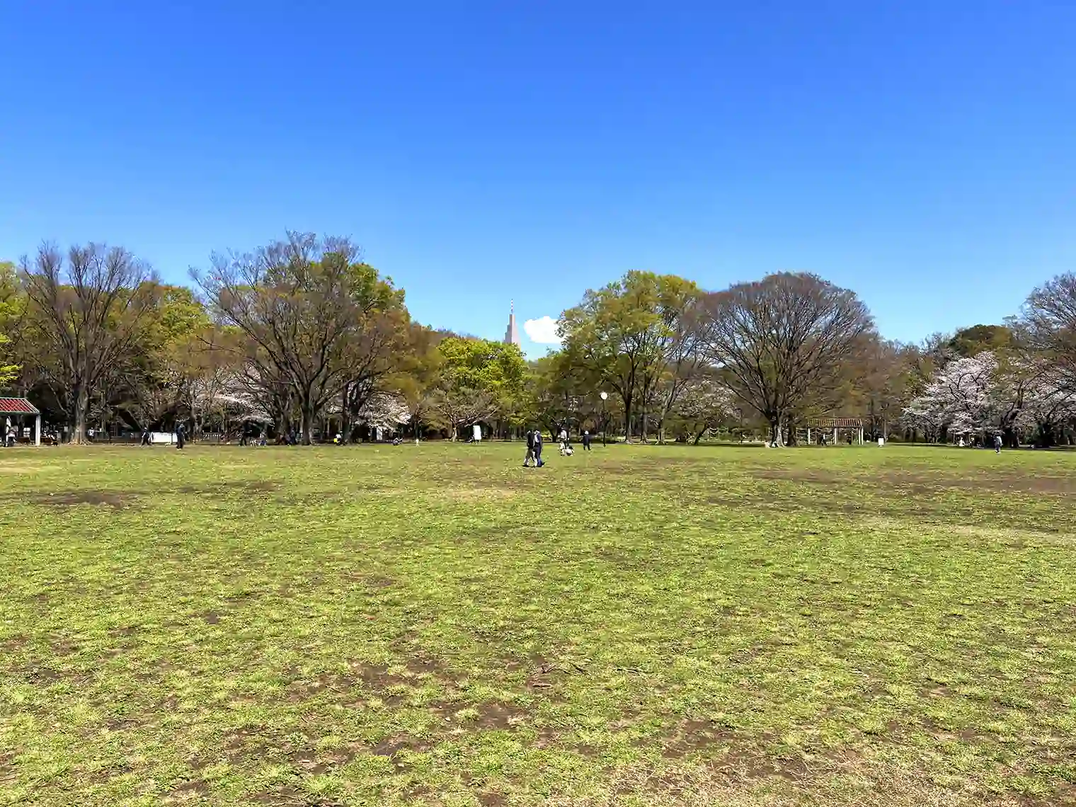 中央広場