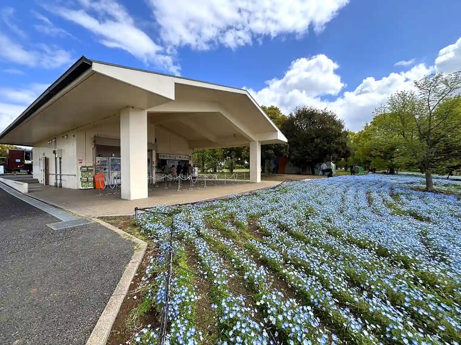 売店とネモフィラ花壇（B地区）