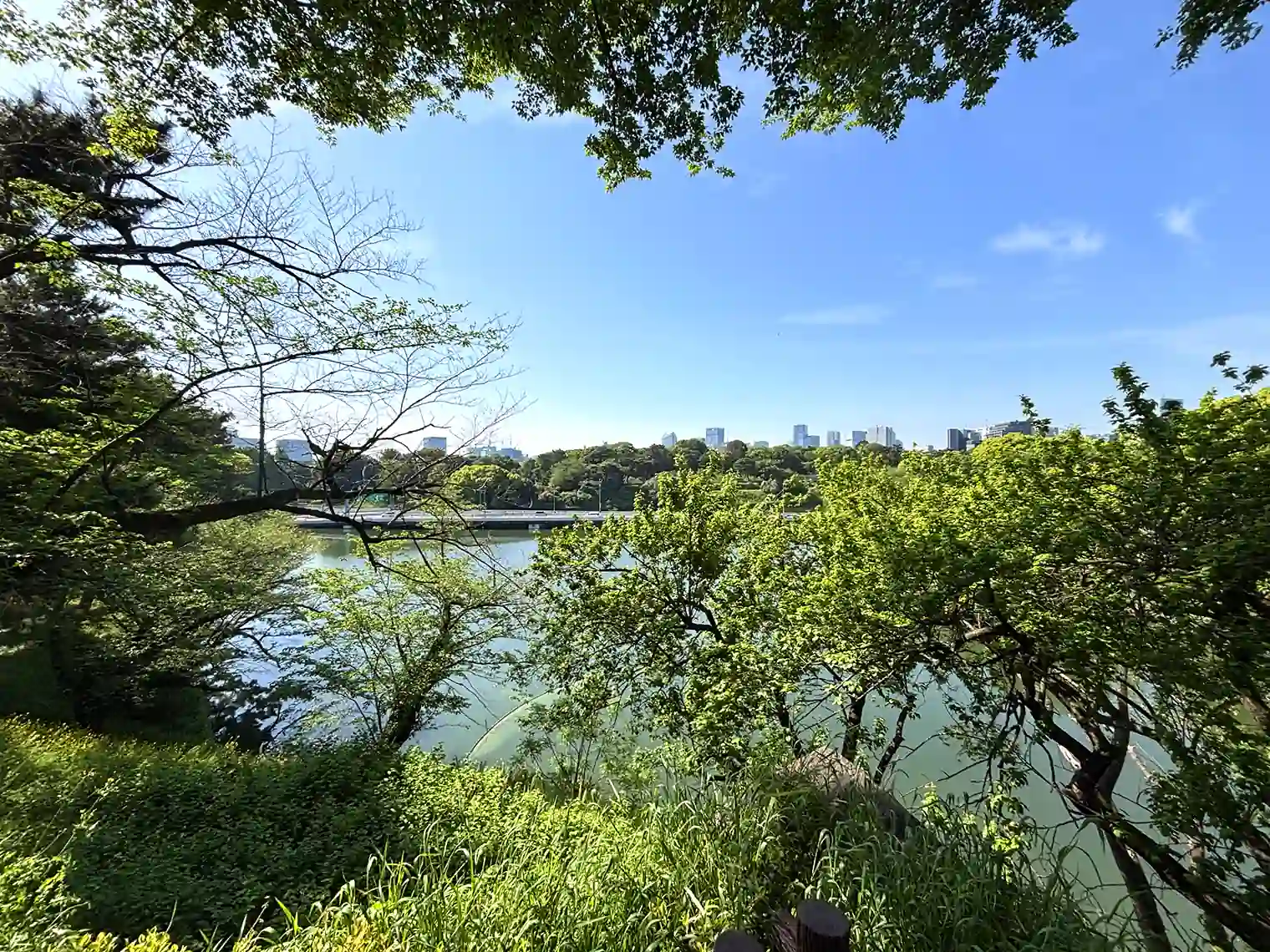 公園から見る千鳥ヶ淵