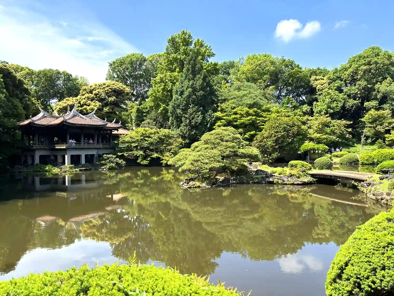 上の池（西エリア）