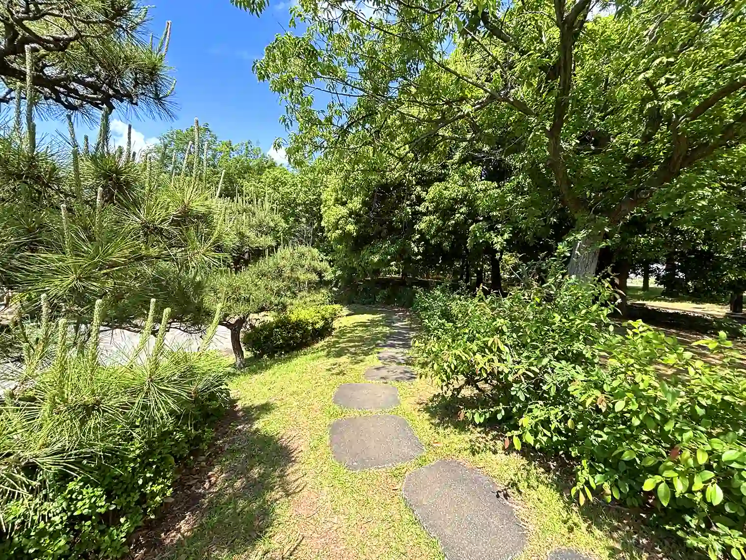 じゃぶじゃぶ池横の飛び石（B地区）