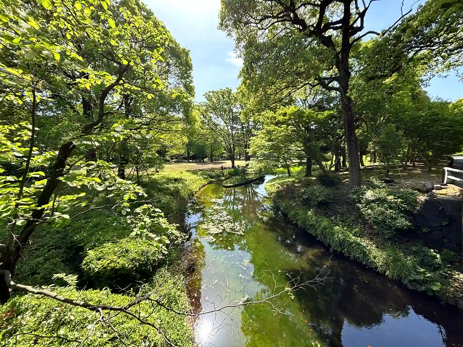 池