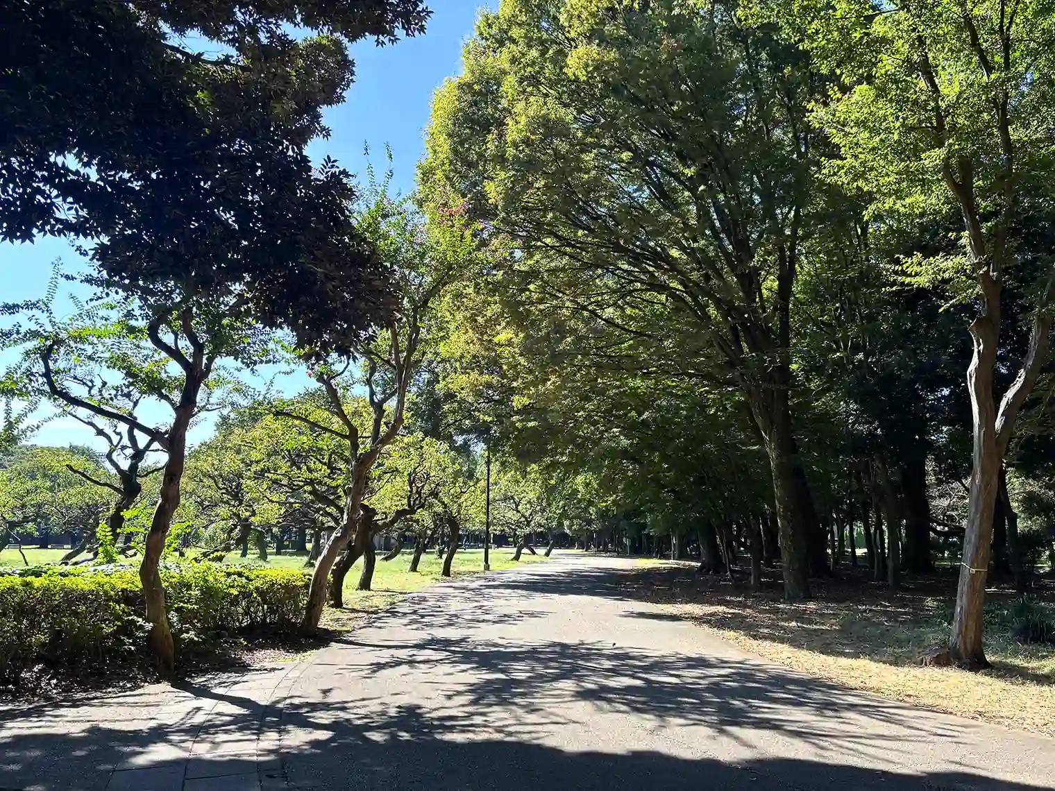 遊歩道