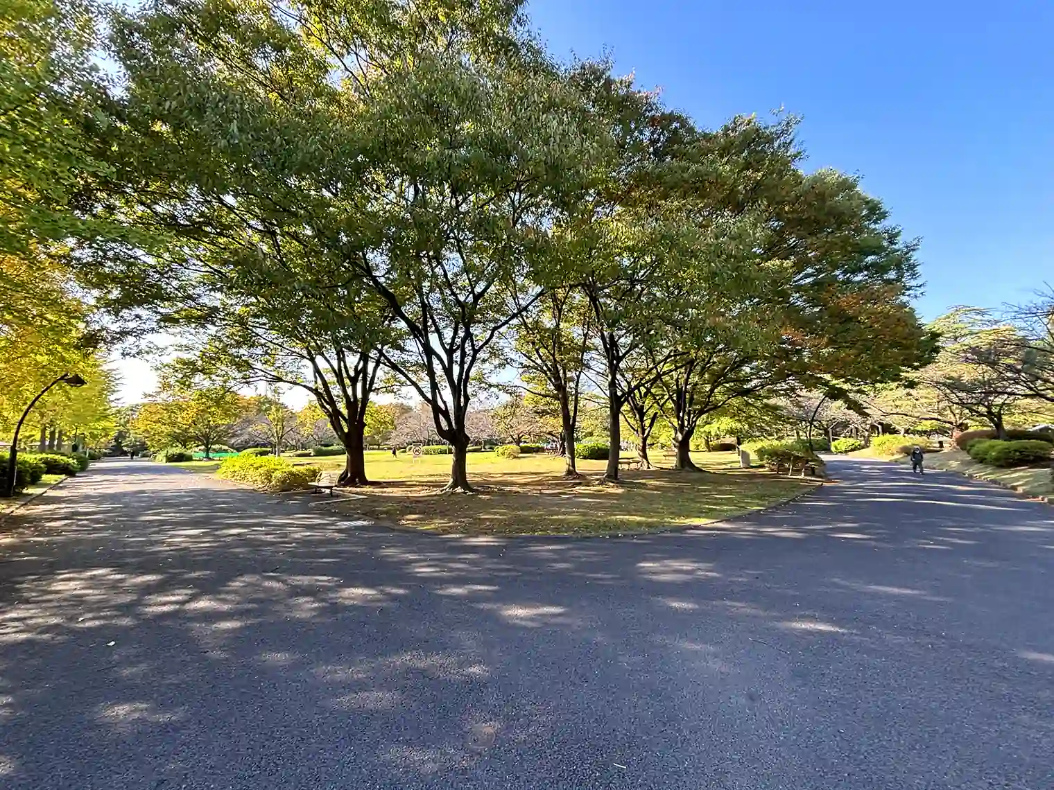 遊歩道