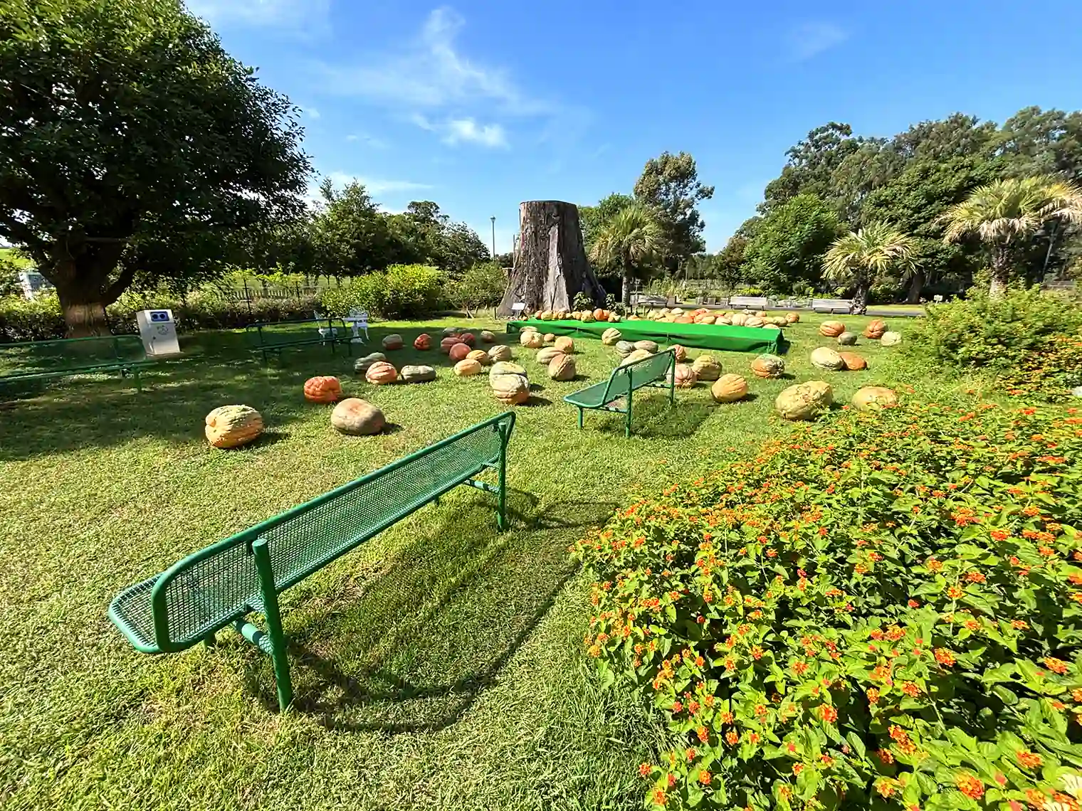 夢の島熱帯植物館内