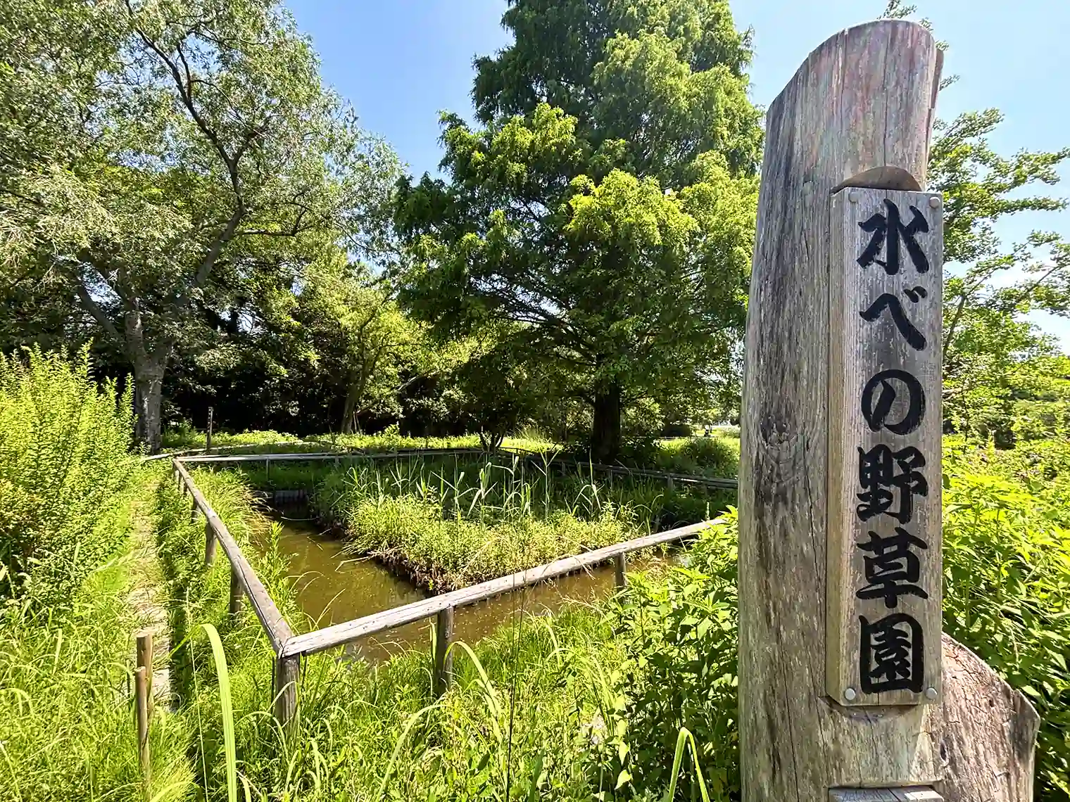 水べの野草園