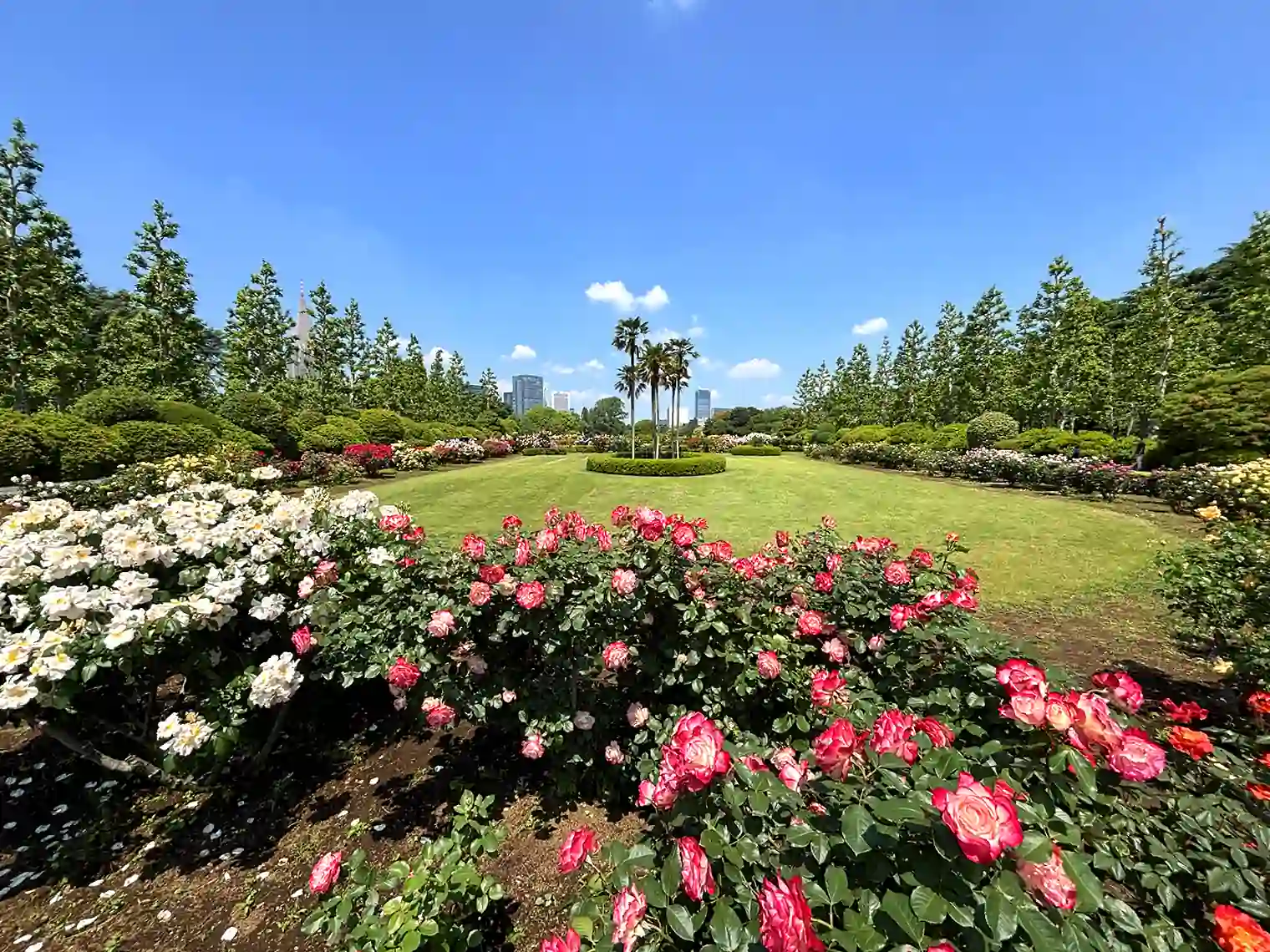 整形式庭園（東エリア）