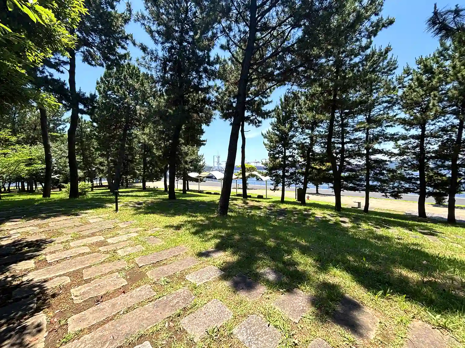 緑の丘へ向かう遊歩道