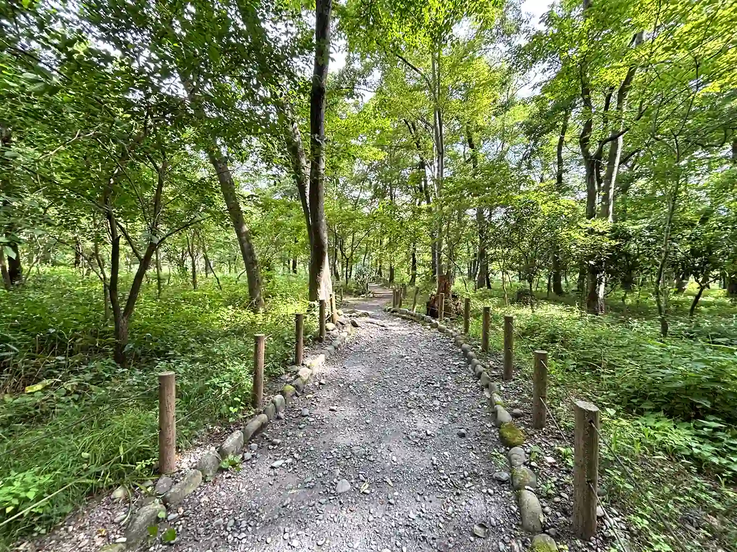 多摩川へ向かう遊歩道