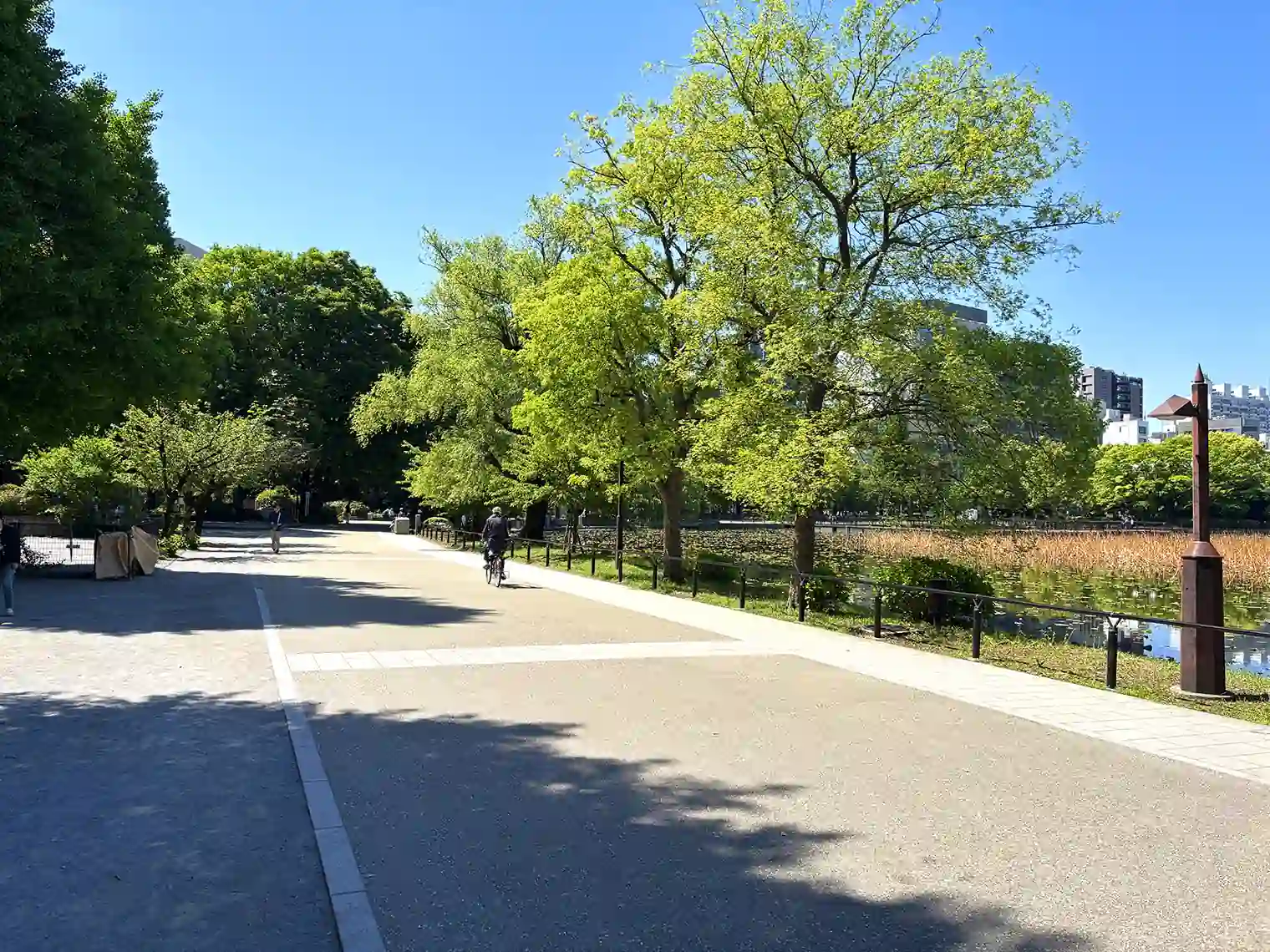 不忍池の遊歩道