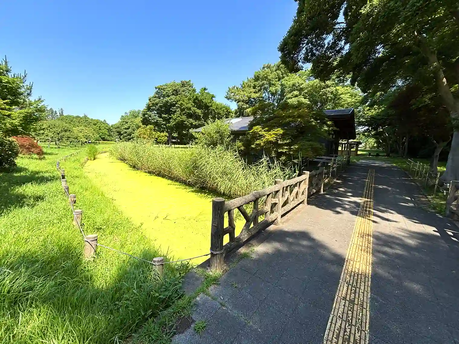 水路と遊歩道