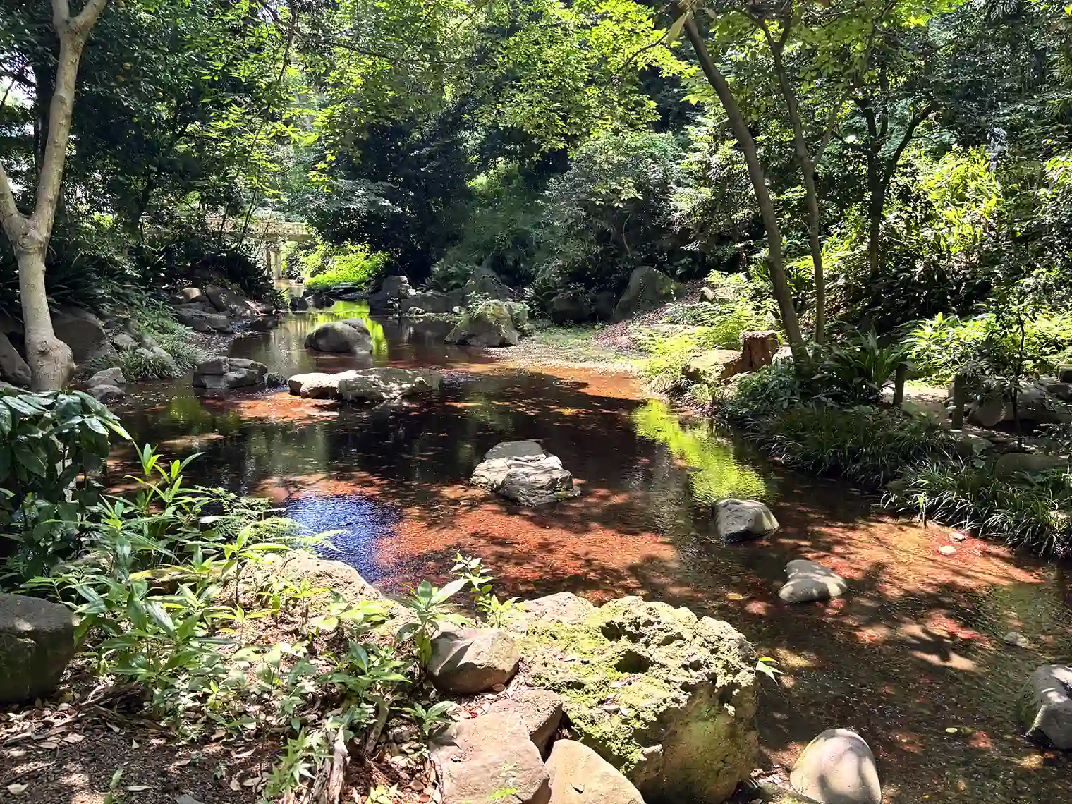 渓流