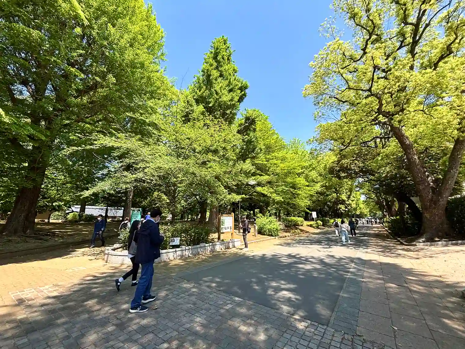 遊歩道