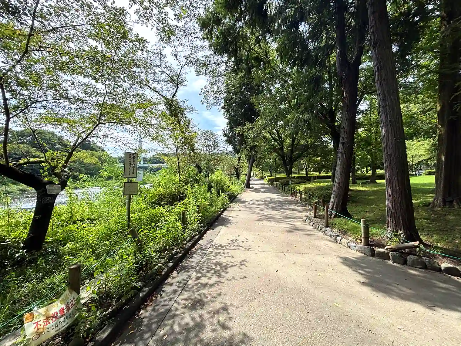 遊歩道