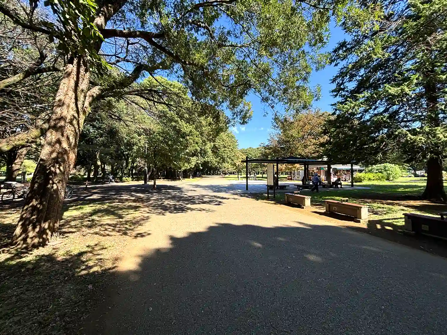 遊歩道