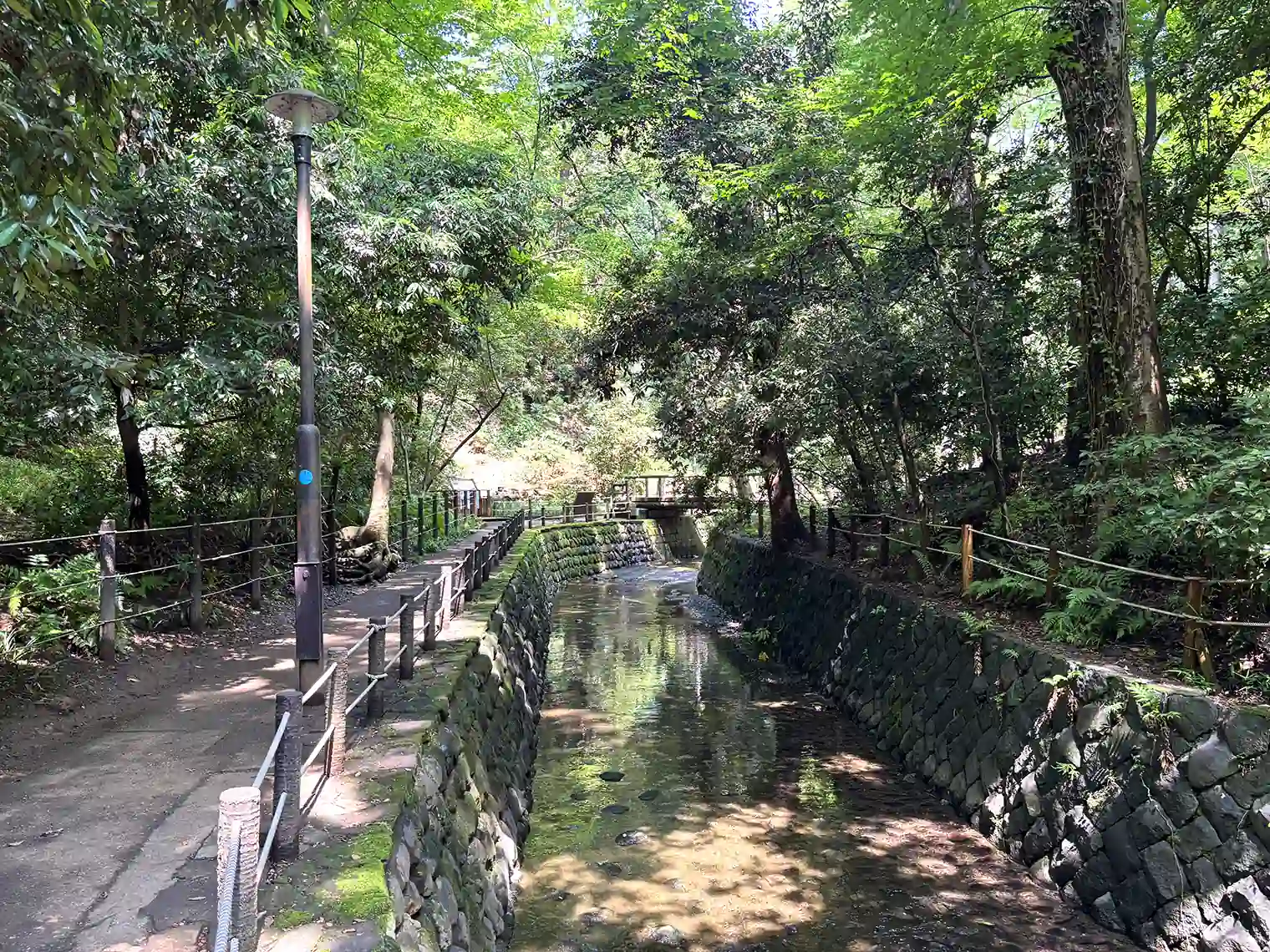谷沢川