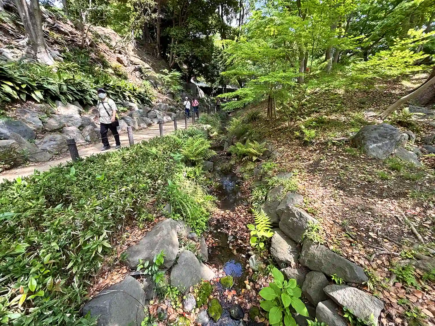 もみじ谷（19号地）