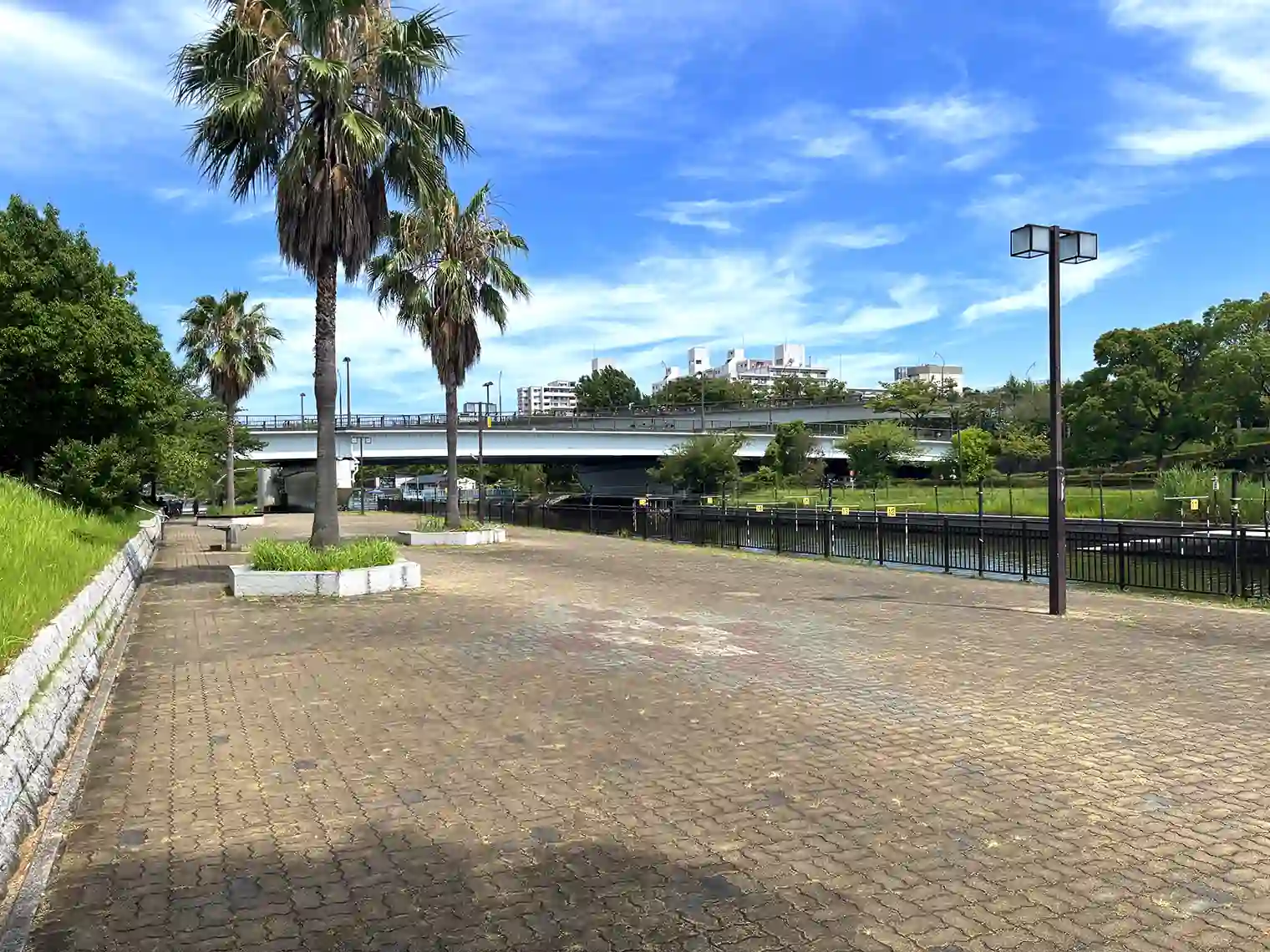 公園内の広場