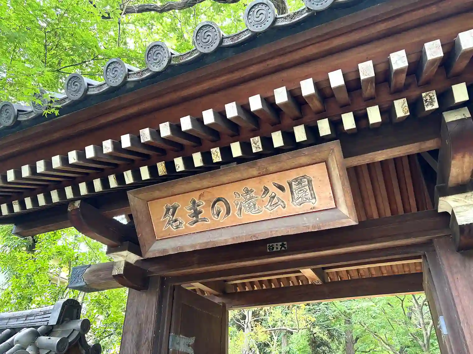 薬医門